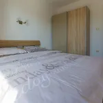 Appartement Hundefreundliches Nur 100 Meter Zum Mit Sauna, Meerblick, Whirlpool