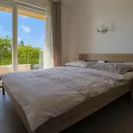 Appartement Hundefreundliches Nur 100 Meter Zum Mit Sauna, Meerblick, Whirlpool *